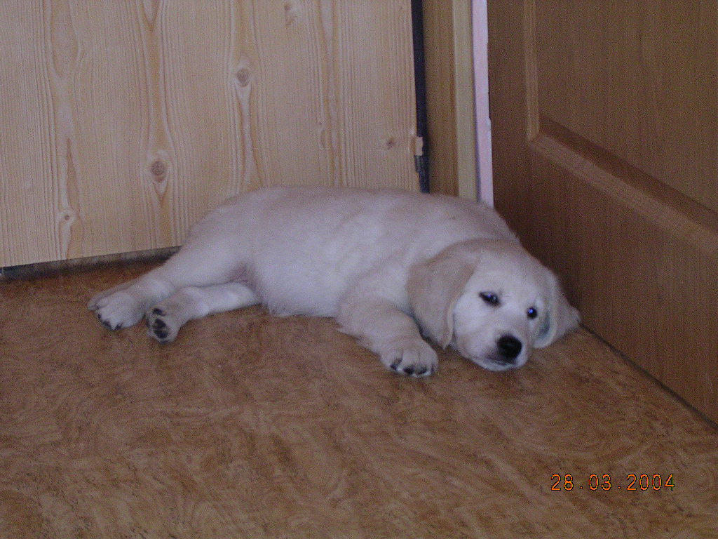 DSCN0196.JPG